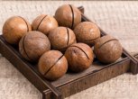 Скорлупа ореха макадамия и способы ее применения