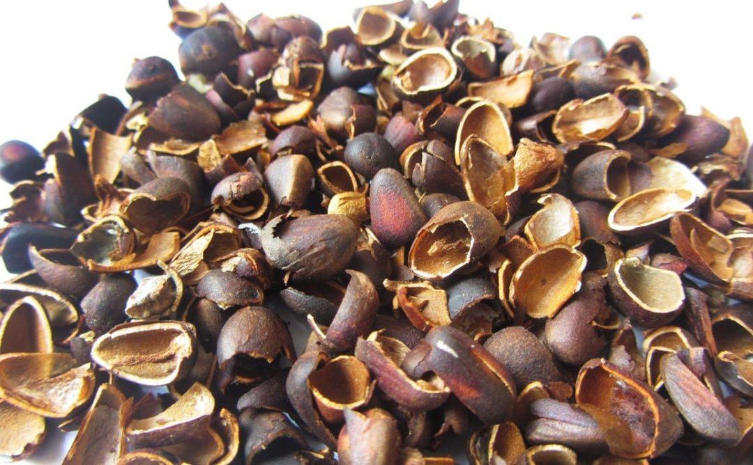 Шелуха кедровых орешков