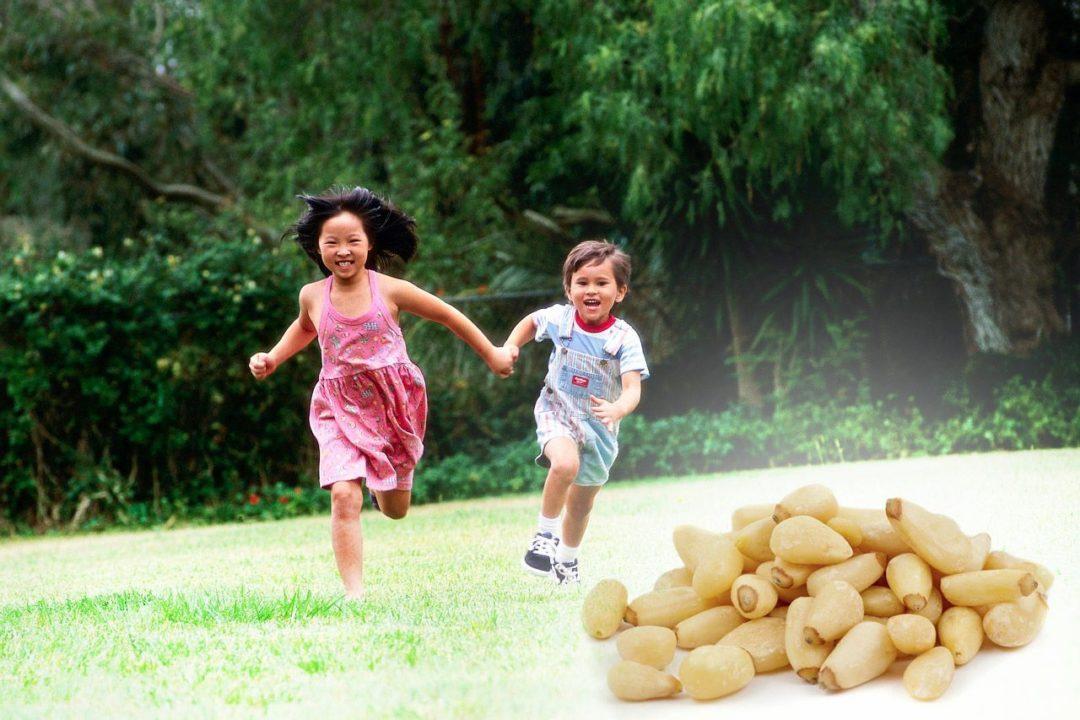 Возраст, когда детям можно орехи