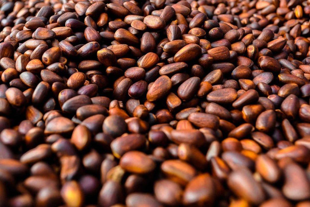 Кедровые орешки в кожуре