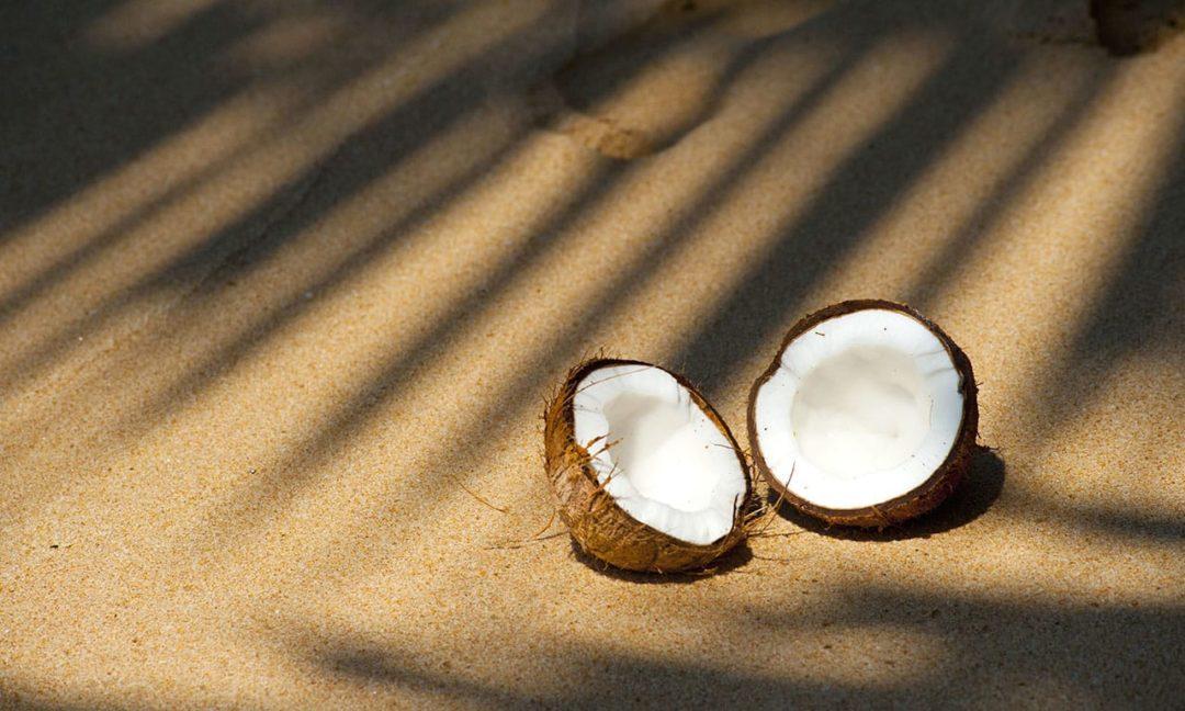 Полезные свойства кокоса